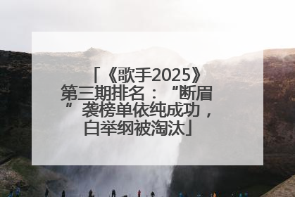《歌手2025》第三期排名：“断眉”袭榜单依纯成功，白举纲被淘汰