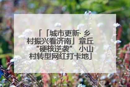 「城市更新· 乡村振兴看济南」章丘“硬核逆袭” 小山村转型网红打卡地