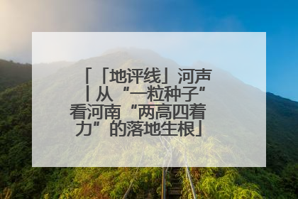 「地评线」河声丨从“一粒种子”看河南“两高四着力”的落地生根