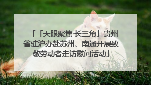 「天眼聚焦·长三角」贵州省驻沪办赴苏州、南通开展致敬劳动者走访慰问活动