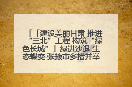 「建设美丽甘肃 推进“三北”工程 构筑“绿色长城”」绿进沙退 生态蝶变 张掖市多措并举加大防沙治沙力度