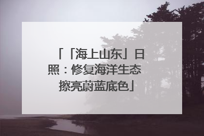 「海上山东」日照：修复海洋生态 擦亮蔚蓝底色