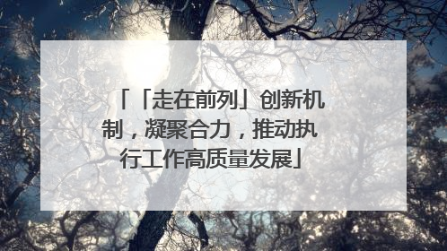 「走在前列」创新机制，凝聚合力，推动执行工作高质量发展