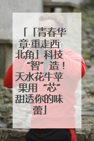 「青春华章·重走西北角」科技“智”造！天水花牛苹果用“芯”甜透你的味蕾