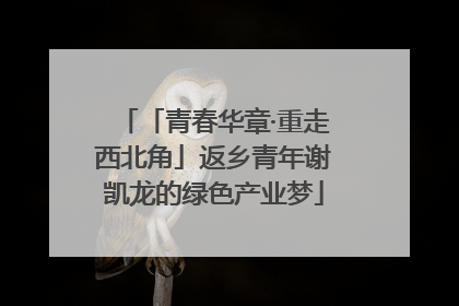 「青春华章·重走西北角」返乡青年谢凯龙的绿色产业梦