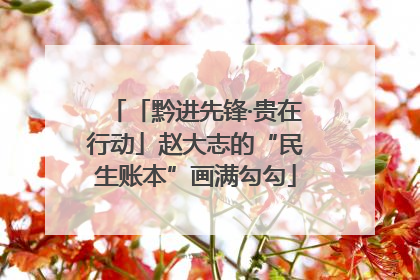 「黔进先锋·贵在行动」赵大志的“民生账本”画满勾勾