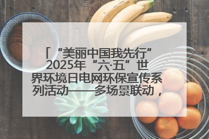 “美丽中国我先行” 2025年“六·五”世界环境日电网环保宣传系列活动——多场景联动，共筑生态发展新图景