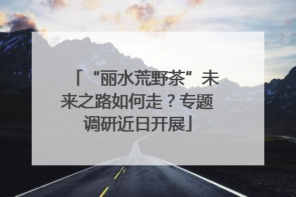 “丽水荒野茶”未来之路如何走？专题调研近日开展