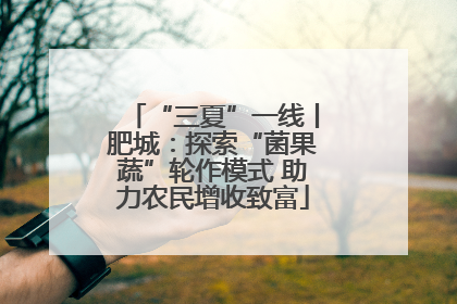 “三夏”一线丨肥城：探索“菌果蔬”轮作模式 助力农民增收致富