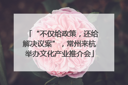 “不仅给政策，还给解决议案”，常州来杭举办文化产业推介会