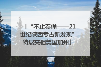 “不止秦俑——21世纪陕西考古新发现”特展亮相美国加州