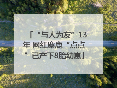 “与人为友”13年 网红麋鹿“点点”已产下8胎幼崽