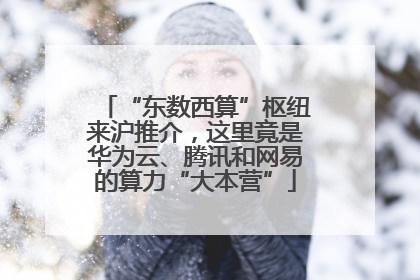 “东数西算”枢纽来沪推介，这里竟是华为云、腾讯和网易的算力“大本营”