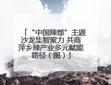 “中国辣都”主题沙龙集智聚力 共商萍乡辣产业多元赋能路径（图）