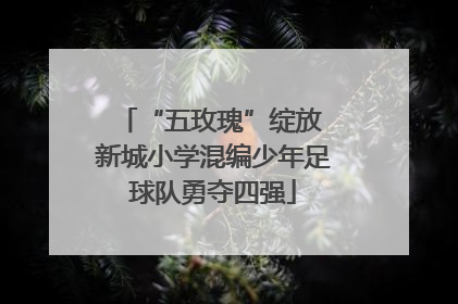“五玫瑰”绽放 新城小学混编少年足球队勇夺四强