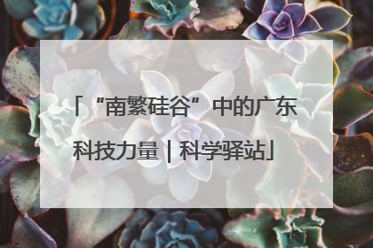“南繁硅谷”中的广东科技力量｜科学驿站