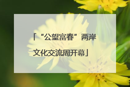 “公望富春”两岸文化交流周开幕