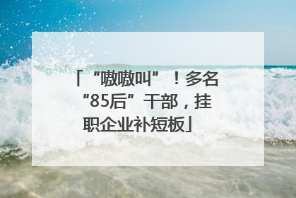 “嗷嗷叫”！多名“85后”干部，挂职企业补短板