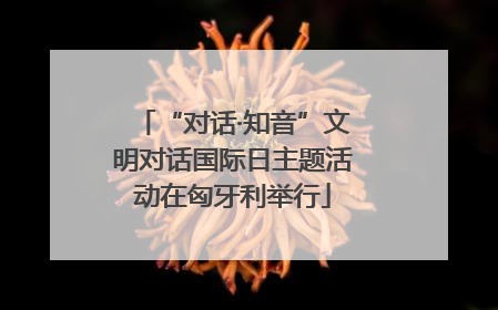 “对话·知音”文明对话国际日主题活动在匈牙利举行