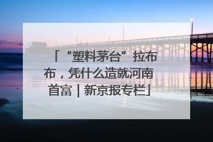 “塑料茅台”拉布布，凭什么造就河南首富｜新京报专栏