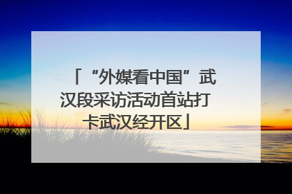 “外媒看中国”武汉段采访活动首站打卡武汉经开区