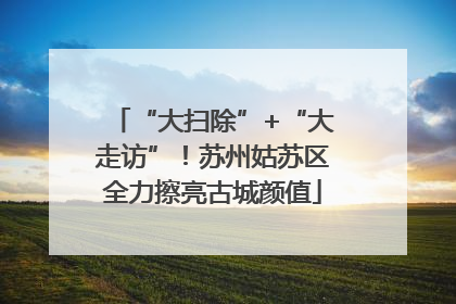 “大扫除”+“大走访”！苏州姑苏区全力擦亮古城颜值