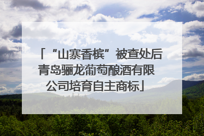 “山寨香槟”被查处后 青岛骊龙葡萄酿酒有限公司培育自主商标