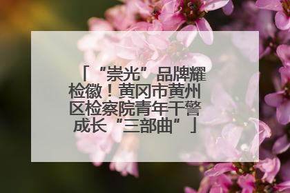 “崇光”品牌耀检徽！黄冈市黄州区检察院青年干警成长“三部曲”