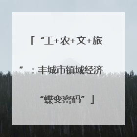“工+农+文+旅”：丰城市镇域经济“蝶变密码”