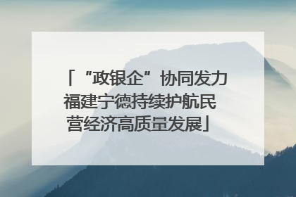 “政银企”协同发力 福建宁德持续护航民营经济高质量发展
