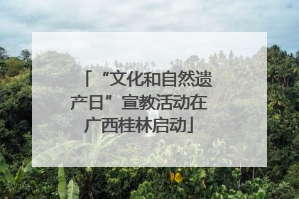 “文化和自然遗产日”宣教活动在广西桂林启动