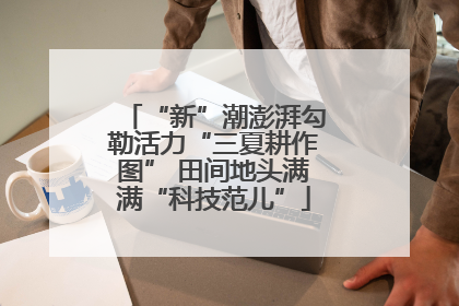 “新”潮澎湃勾勒活力“三夏耕作图” 田间地头满满“科技范儿”