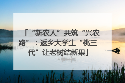 “新农人”共筑“兴农路”：返乡大学生“桃三代”让老树结新果