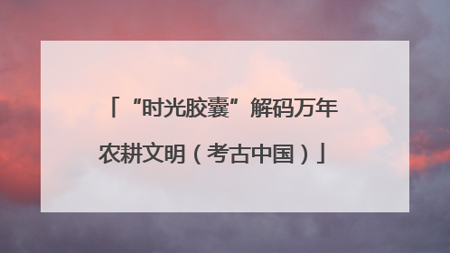 “时光胶囊”解码万年农耕文明（考古中国）