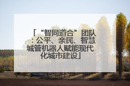 “智同道合”团队：公平、亲民、智慧城管机器人赋能现代化城市建设