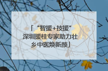 “智援+技援” 深圳援桂专家助力壮乡中医焕新颜
