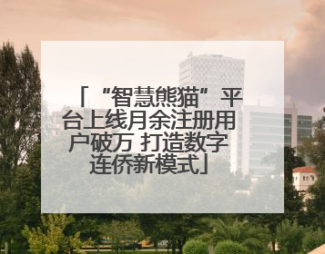 “智慧熊猫”平台上线月余注册用户破万 打造数字连侨新模式