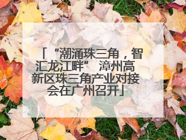 “潮涌珠三角，智汇龙江畔” 漳州高新区珠三角产业对接会在广州召开