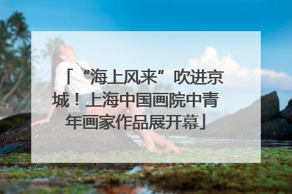 “海上风来”吹进京城！上海中国画院中青年画家作品展开幕