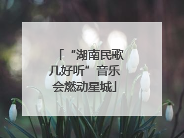 “湖南民歌几好听”音乐会燃动星城