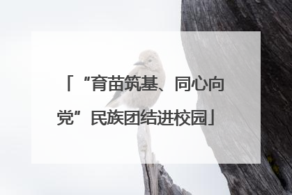 “育苗筑基、同心向党”民族团结进校园