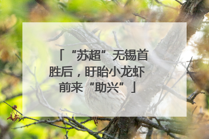 “苏超”无锡首胜后，盱眙小龙虾前来“助兴”