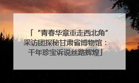 “青春华章重走西北角”采访团探秘甘肃省博物馆：千年珍宝诉说丝路辉煌