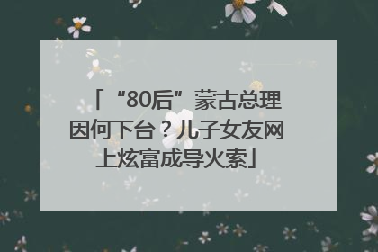 “80后”蒙古总理因何下台？儿子女友网上炫富成导火索