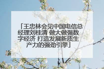 王忠林会见中国电信总经理刘桂清 做大做强数字经济 打造发展新质生产力的强劲引擎