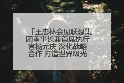 王忠林会见联想集团董事长兼首席执行官杨元庆 深化战略合作 打造世界级光电子信息产业集群
