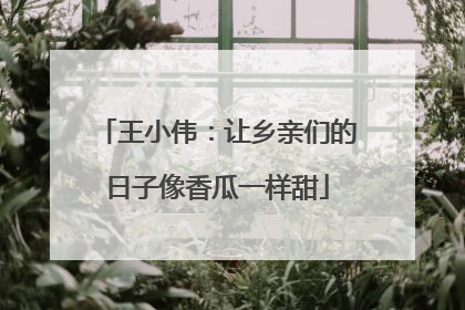 王小伟：让乡亲们的日子像香瓜一样甜