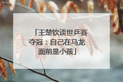 王楚钦谈世乒赛夺冠：自己在马龙面前是小孩