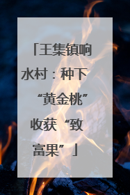 王集镇响水村：种下“黄金桃” 收获“致富果”