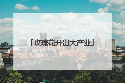 玫瑰花开出大产业
